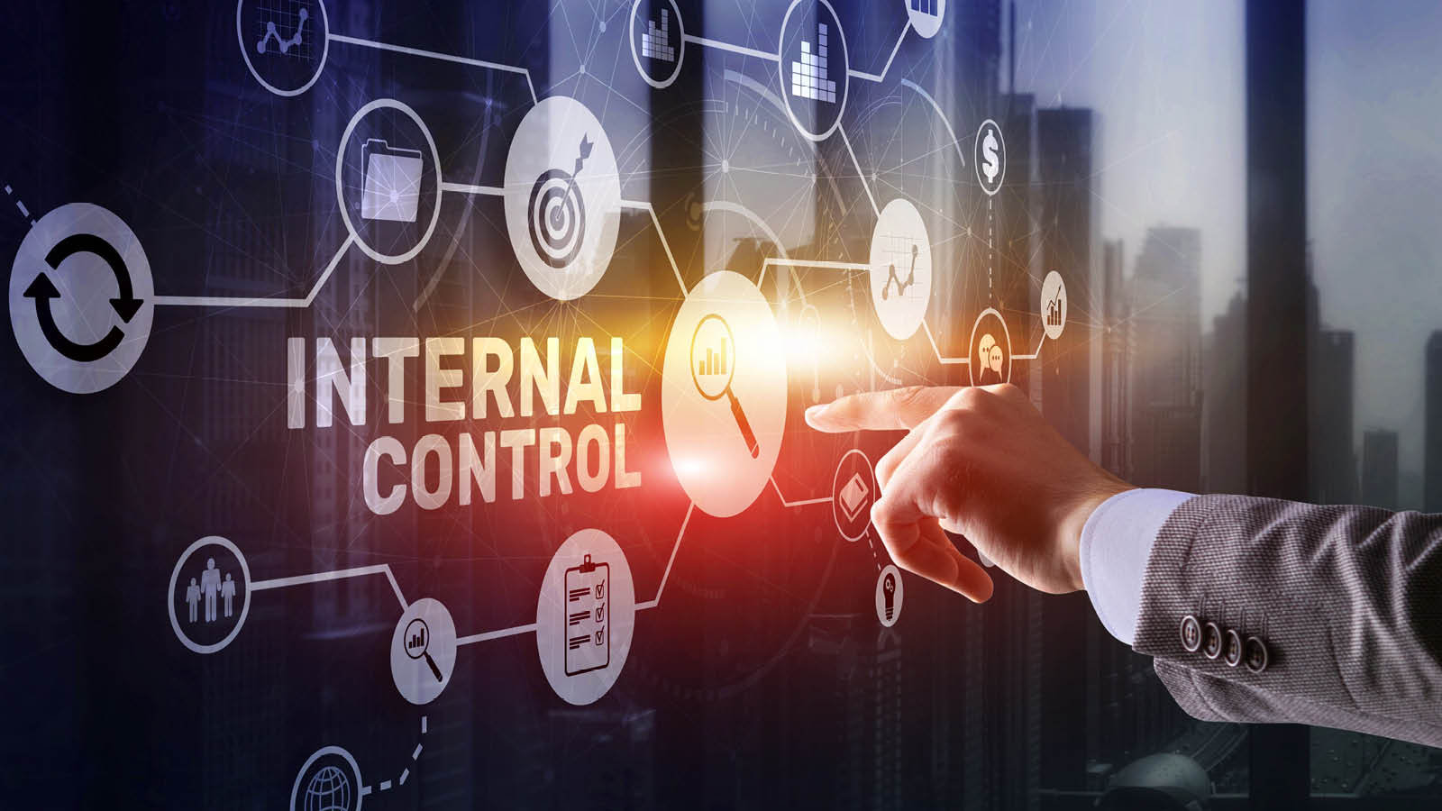 Internal Control Review Services